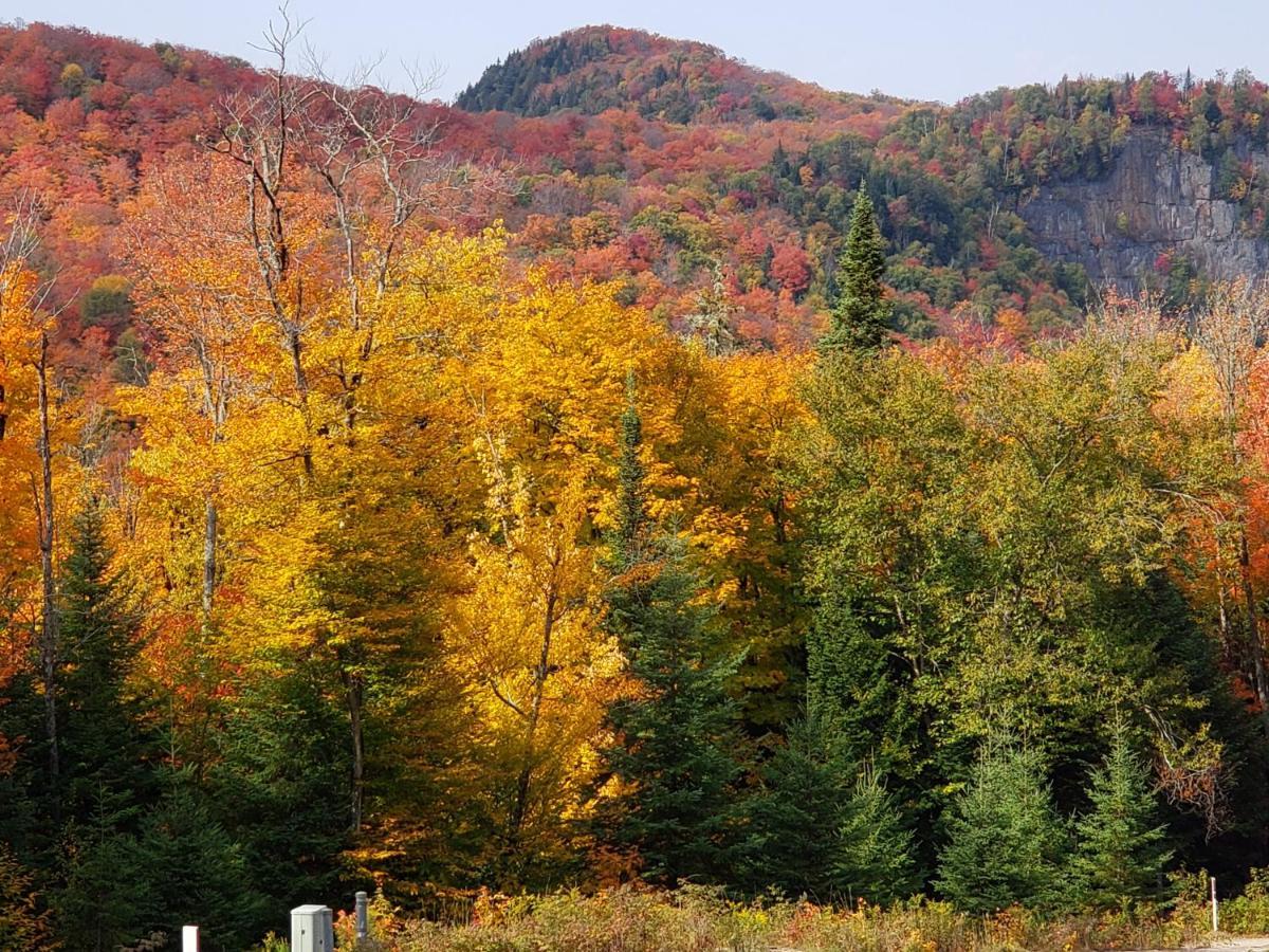 Chalet F116 Mont-Tremblant Nord Lac-Superieur Eksteriør bilde