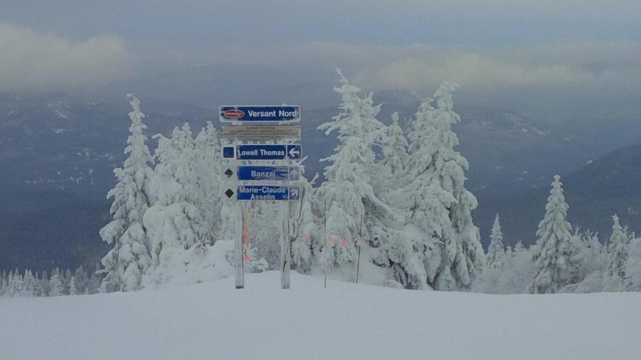 Chalet F116 Mont-Tremblant Nord Lac-Superieur Eksteriør bilde